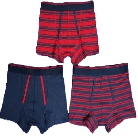 boxer